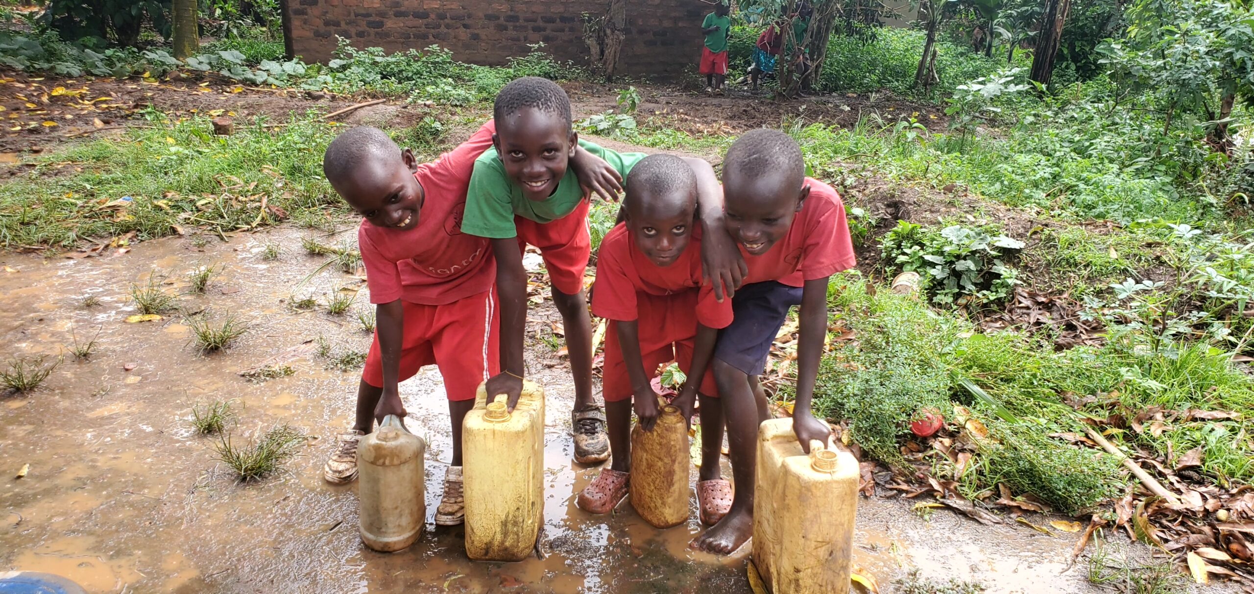 Sustainable Poultry Farming and Livestock Development